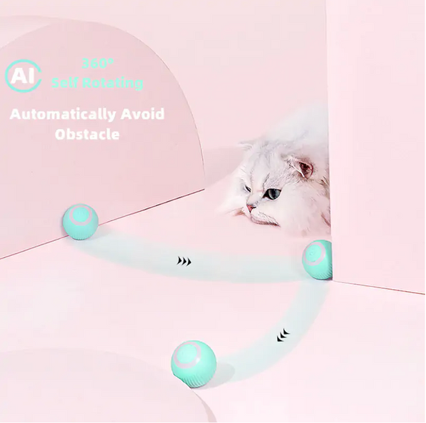 Original™ Portabel Hund Badborste – Den Ultimata Badupplevelsen för Din Fyrbenta Vän!
